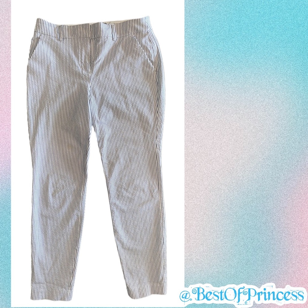 Express Dress Pants